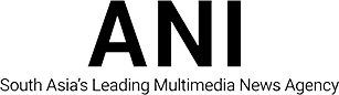 ani logo black